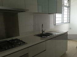 Oasis @ Elias (D18), Condominium #123117502